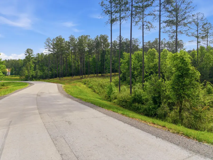 0 Birds Eye Way #1099, Guild, TN 37340 - #3