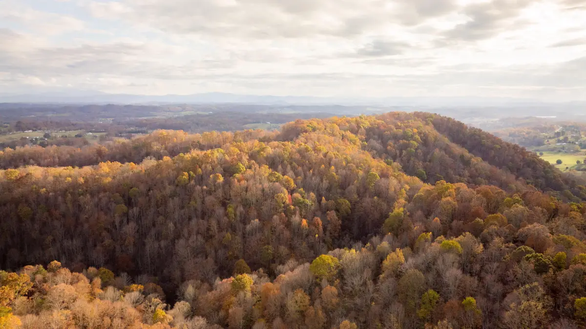 544 Ethel Beard Road, Blountville, TN 37617 - #1