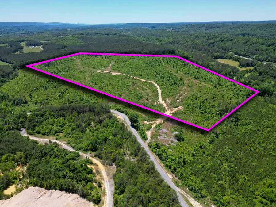 74 Acs Bethel Road, Valley Head, AL 35989 - #2