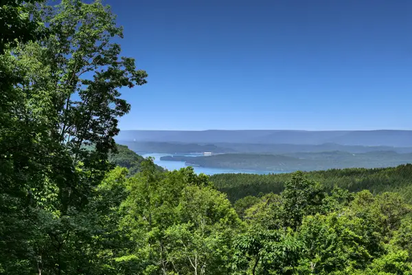 0 Split Rail Way #1180, Guild, TN 37340