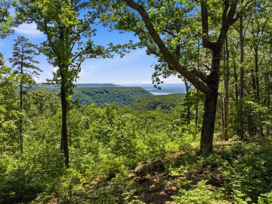 0 Split Rail Way #1180, Guild, TN 37340 - #2