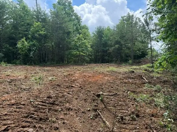 10775 S Pittsburg Mountain Road #9, South Pittsburg, TN 37380