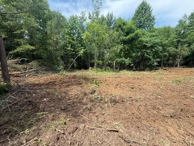 10775 S Pittsburg Mountain Road #9, South Pittsburg, TN 37380 - #3
