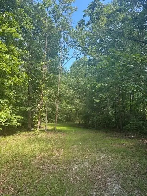 43 Bluffs Woods #Lot 43, Altamont, TN 37301 - #2