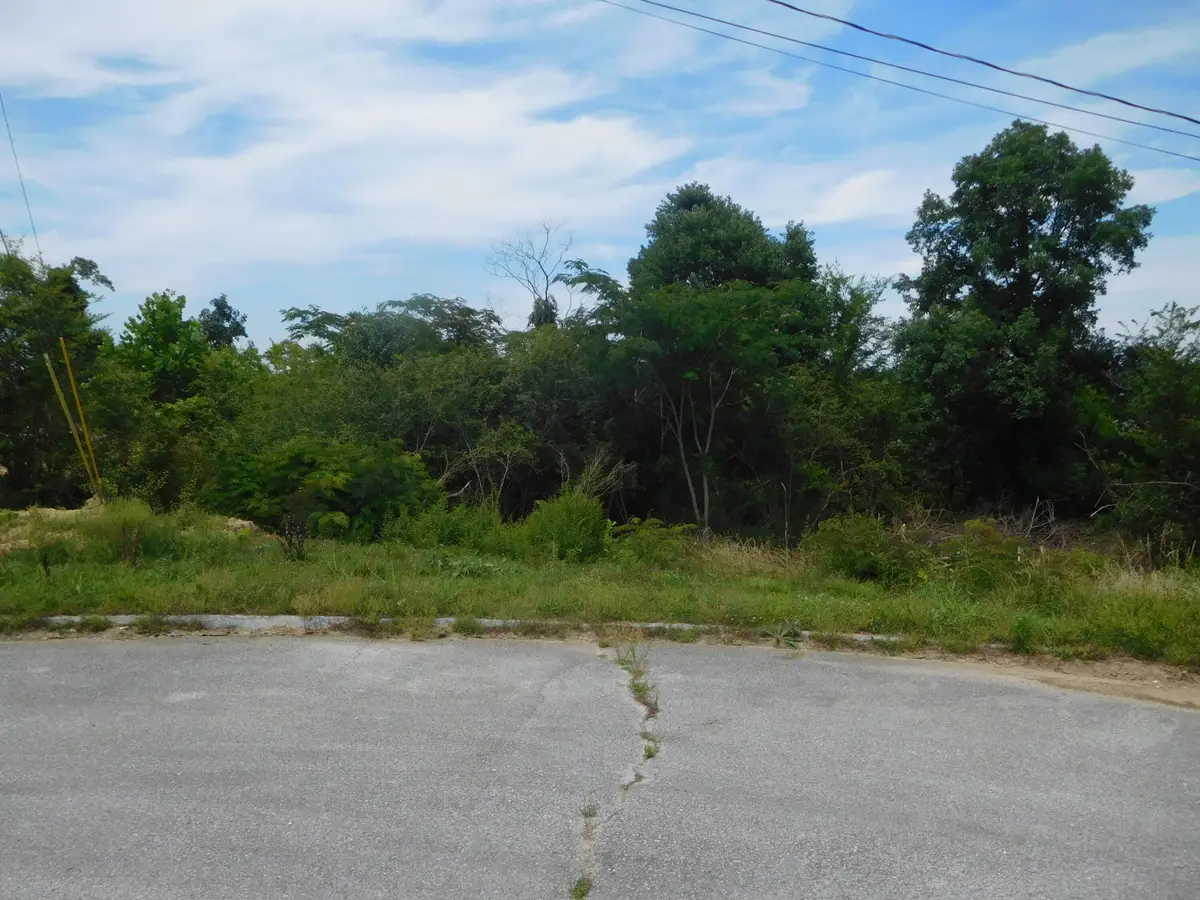 0 Rio Grande Road, Chattanooga, TN 37421 - #1