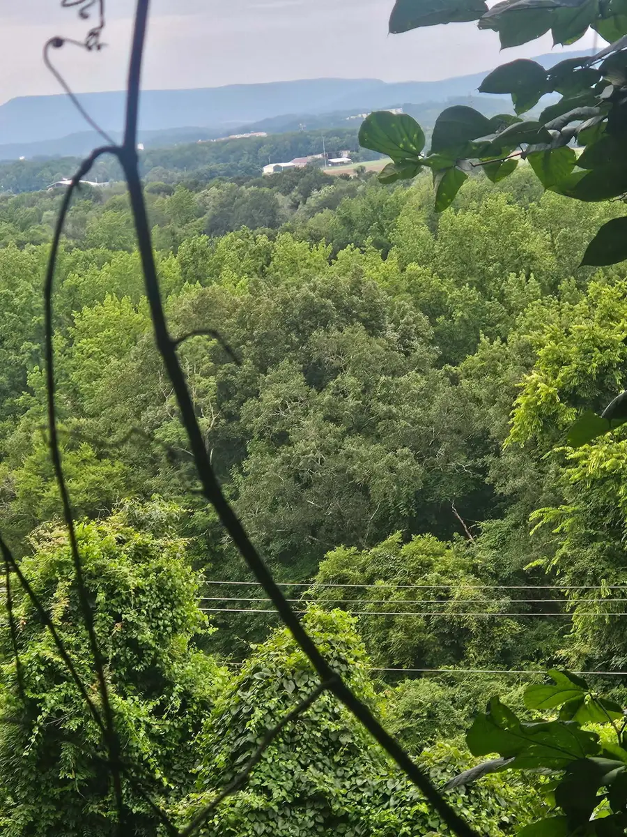 0 Old Jasper Road, South Pittsburg, TN 37380 - #2