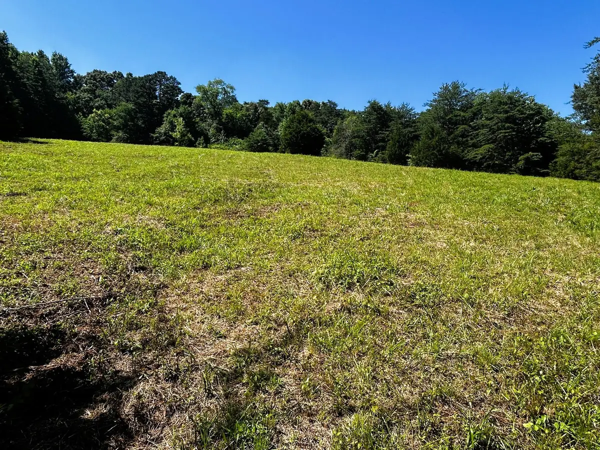1060 County Road 130, Riceville, TN 37370 - #1