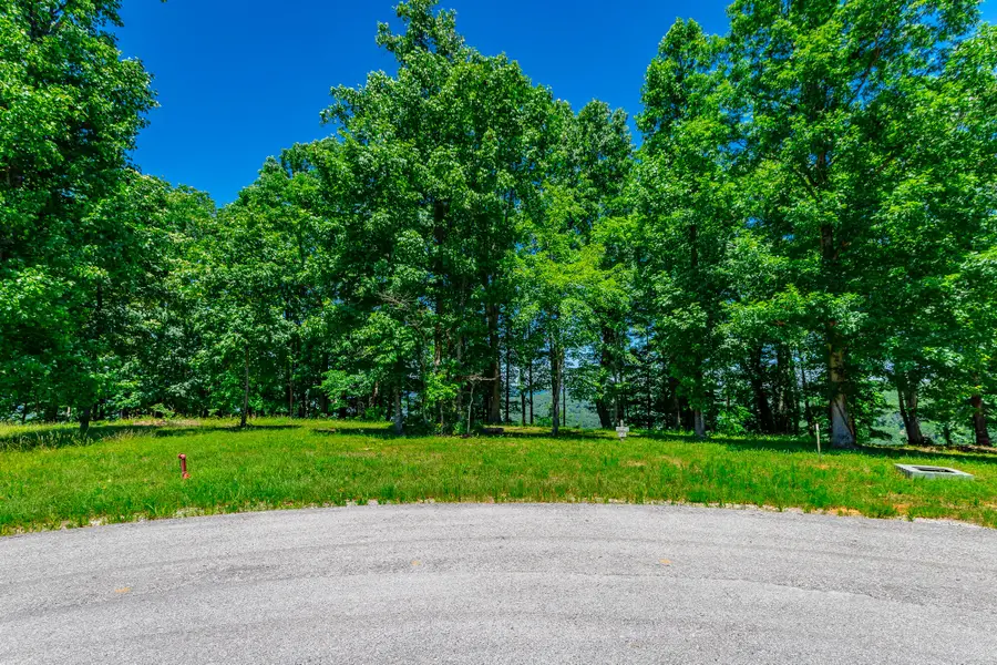 0 Volunteer Street #362, Jasper, TN 37347 - #2
