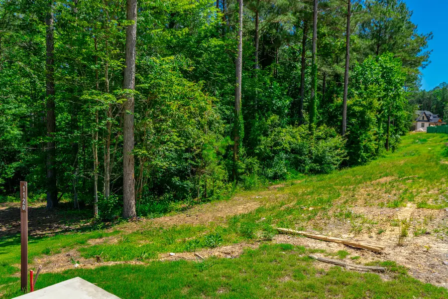 0 Split Rail Way #Lot 1121, Guild, TN 37340 - #2
