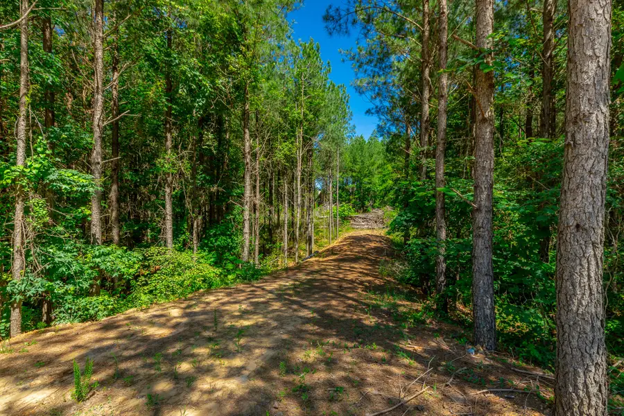 0 Split Rail Way #Lot 1163, Guild, TN 37340 - #3