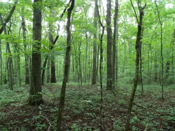 000 Beech Point Circle, Crossville, TN 38572