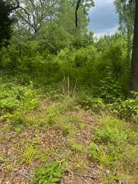 0 Stewart Road, Ringgold, GA 30736