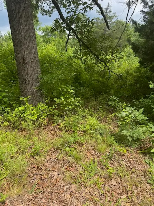 0 Stewart Road, Ringgold, GA 30736 - #2