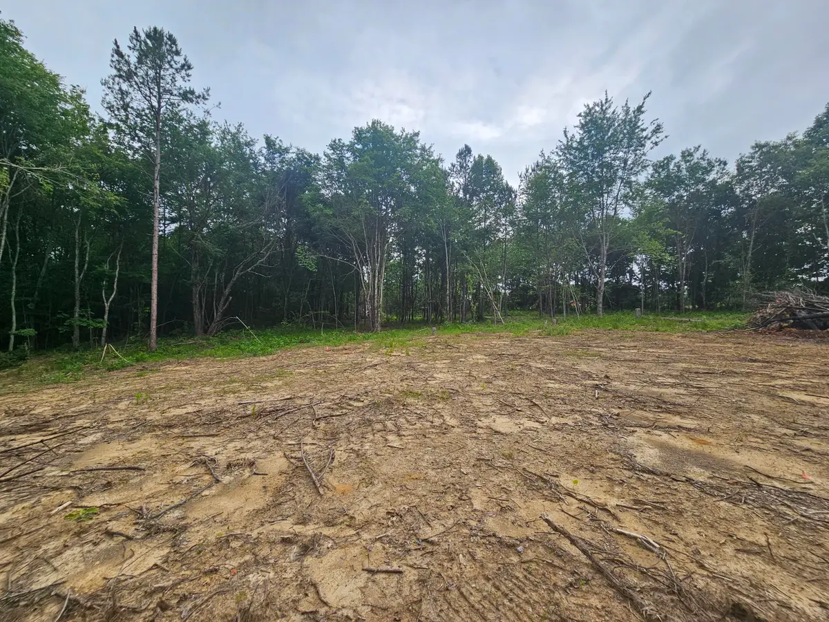 229 Windstone Drive, Tracy City, TN 37387 - #1