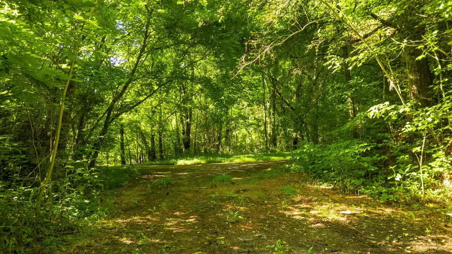 0 N Off Highway 411 Highway, Crandall, GA 30711 - #2