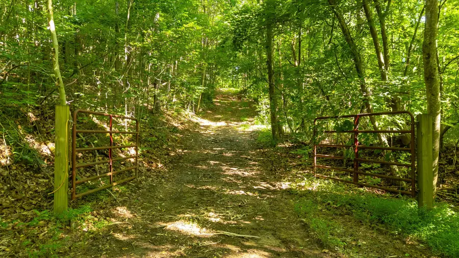 0 N Off Highway 411 Highway, Crandall, GA 30711 - #3
