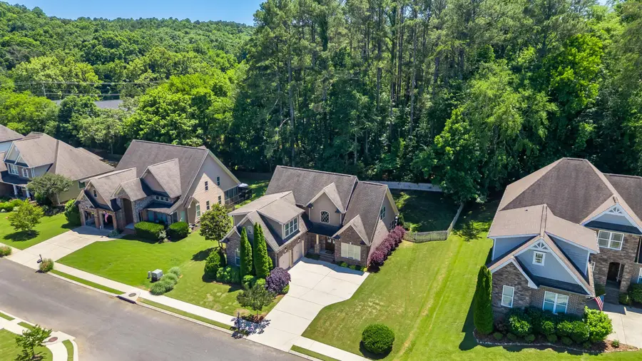10628 Harlow Place, Apison, TN 37302 - #3