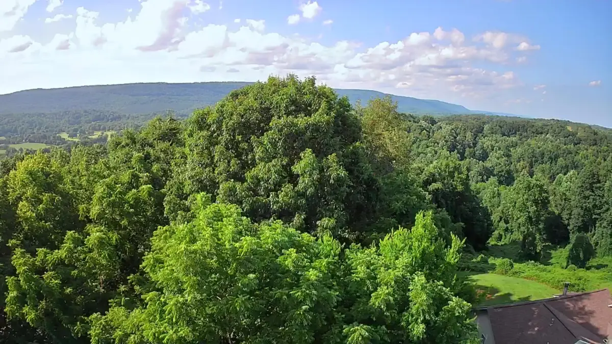 0 Ashley Lane #53, Dayton, TN 37321 - #1