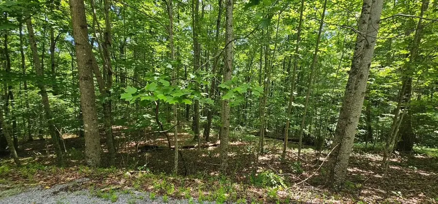 Lot 555 Oak Leaf Lane #555, Dunlap, TN 37327 - #3