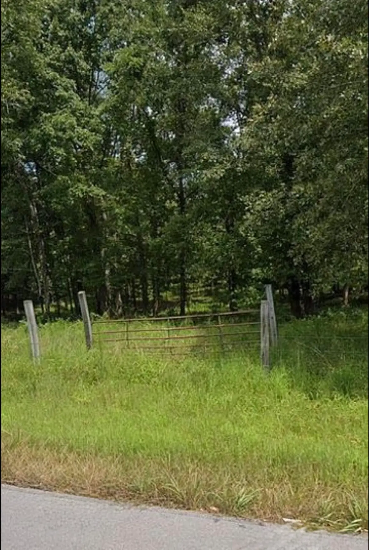 12702 Cranfield Road, Birchwood, TN 37308 - #1