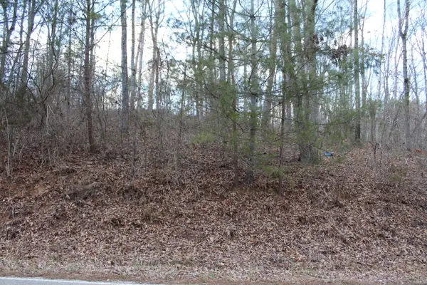 2959 Highway 411, Old Fort, TN 37362