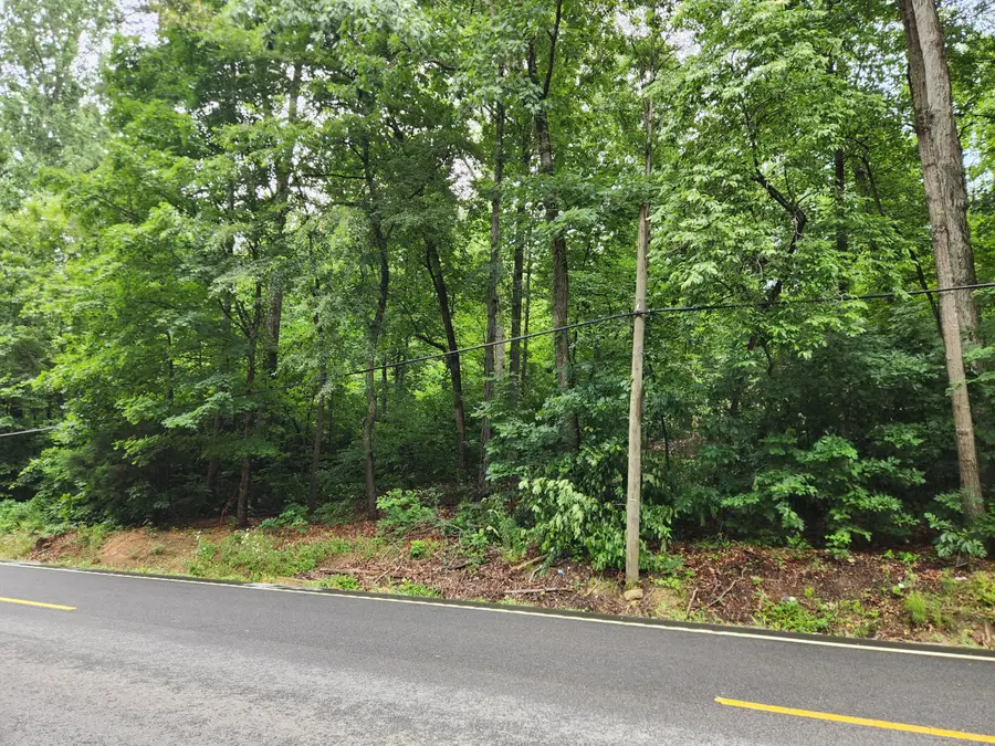 0000 Highway 411, Old Fort, TN 37362 - #2