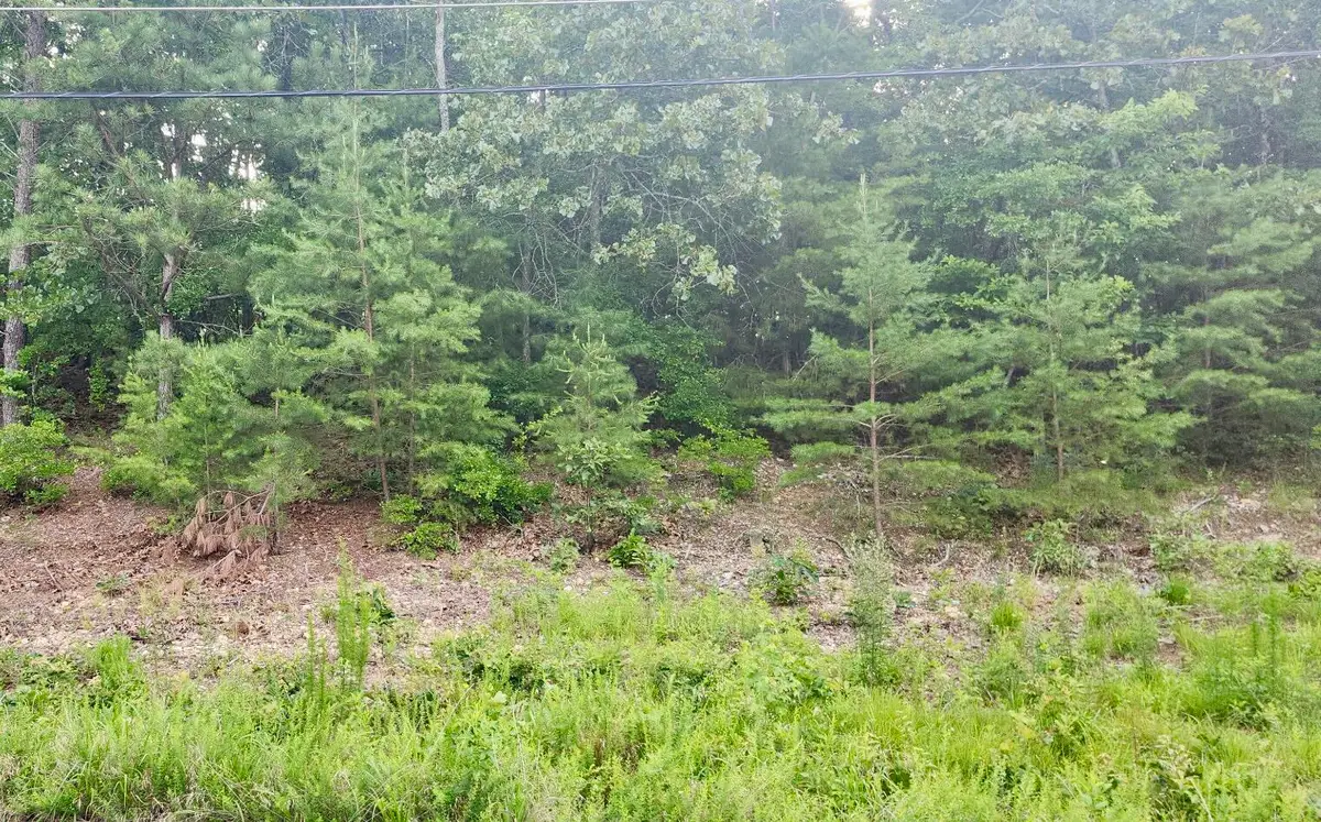 6201 Hidden Hill Road, Harrison, TN 37341 - #1