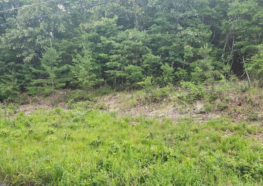 6201 Hidden Hill Road, Harrison, TN 37341 - #2
