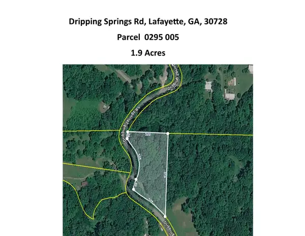 0 Dripping Springs Road, LaFayette, GA 30728