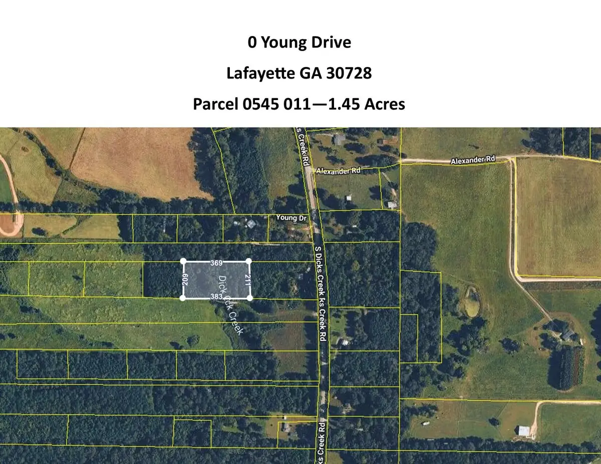 0 Young Dr Road, Lafayette, GA 30728 - #1