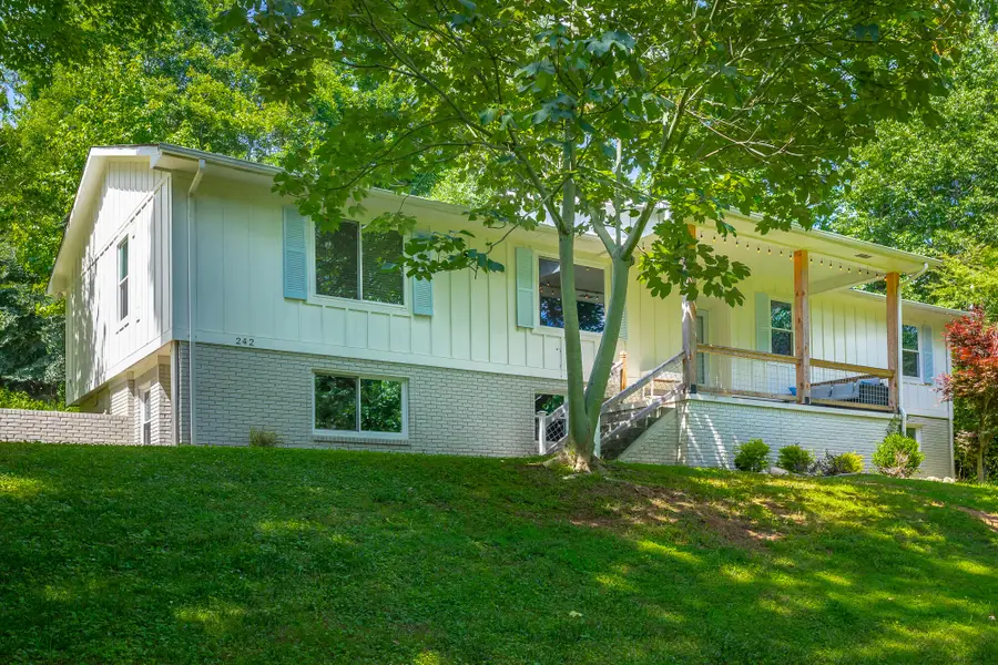 242 Hays Hollow Road, Flintstone, GA 30725 - #2