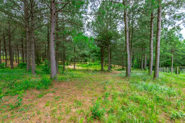 0 Bobcat Trail #213, Jasper, TN 37347