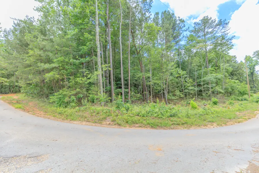0 Wallaceville Cemetery Road, Chickamauga, GA 30707 - #2