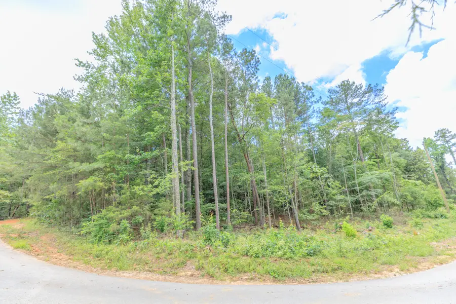 0 Wallaceville Cemetery Road, Chickamauga, GA 30707 - #3