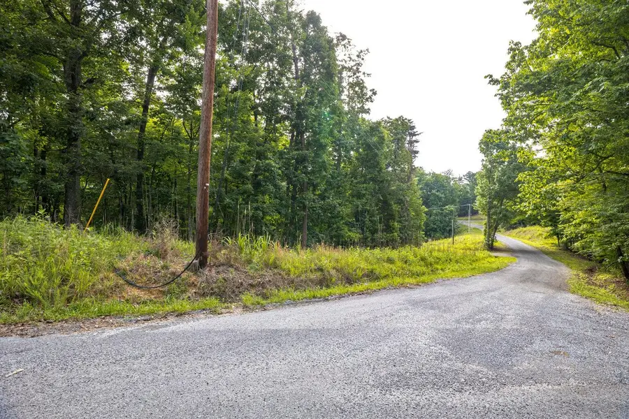 Lot 165 Maple Drive, Spring City, TN 37381 - #3