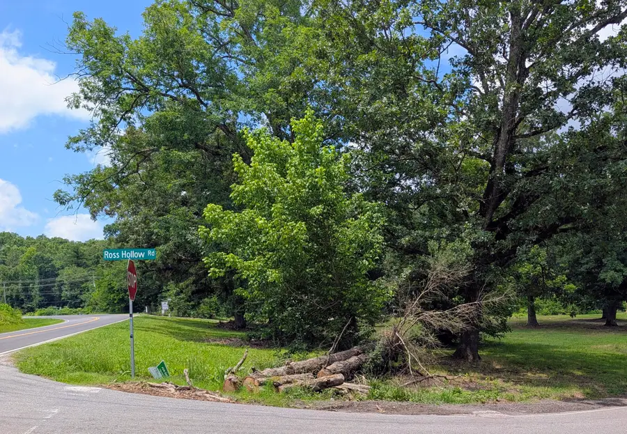 15 Mclemore Lane, Ringgold, GA 30736 - #3