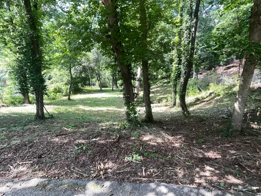 6733 Moss Lake Drive, Hixson, TN 37343 - #2