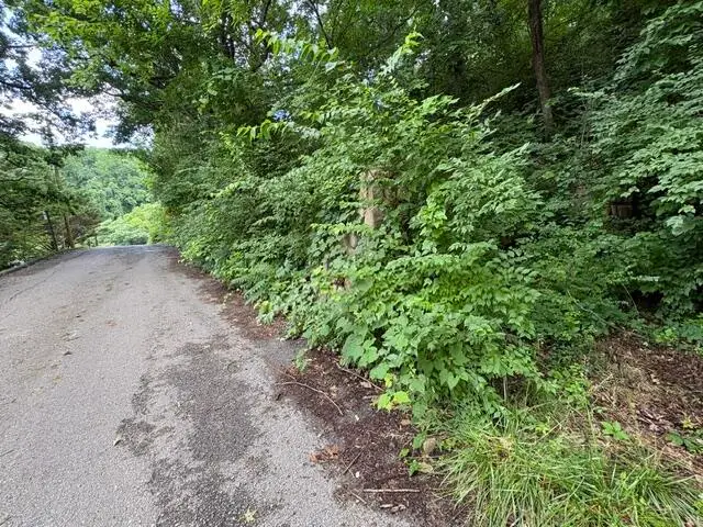 163 Dal Brown Road, Chattanooga, TN 37405 - #2