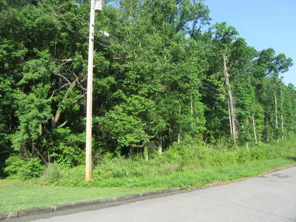 00 Hickory Ridge Trail #221, Ringgold, GA 30736