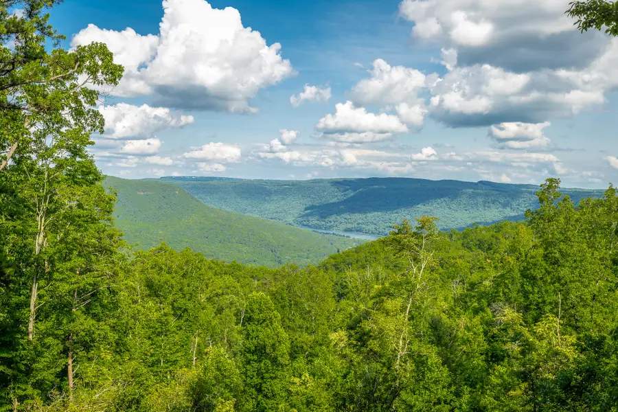 0 Back Basin Trail #Lot 1244, Guild, TN 37340 - #2