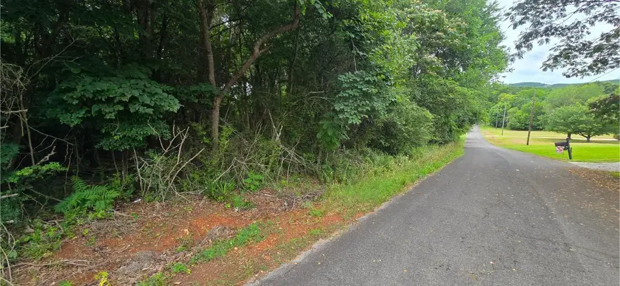 0 Ridge Road, Cave Spring, GA 30124 - #2