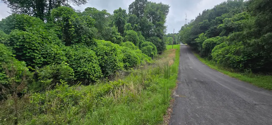 0 Valley Road Sw #41, Cave Spring, GA 30124 - #3