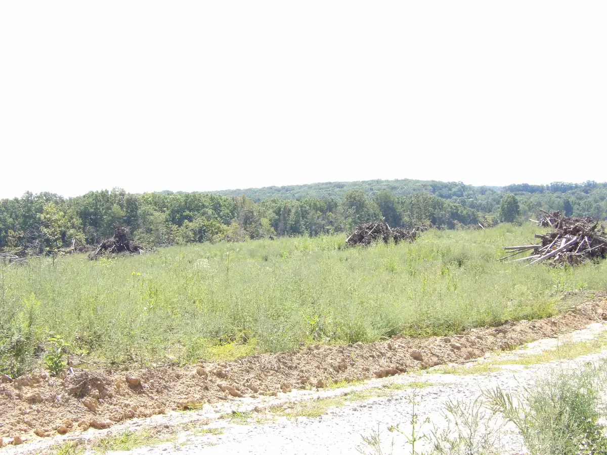 100 Summer City Road, Evensville, TN 37332 - #1