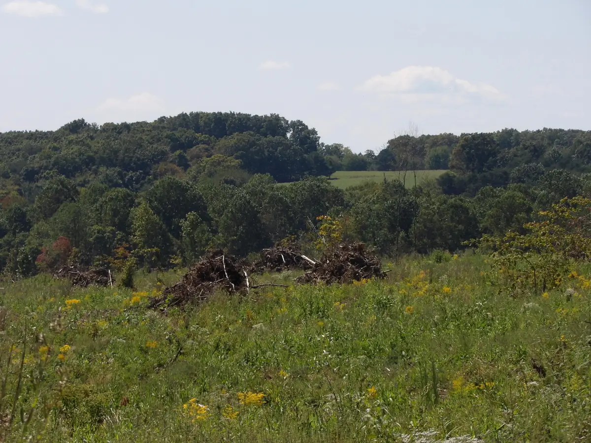 Lot 55 Summer City Road #55, Evensville, TN 37332 - #1