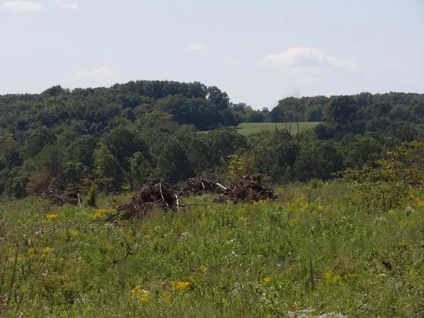 Lot 55 Summer City Road #55, Evensville, TN 37332