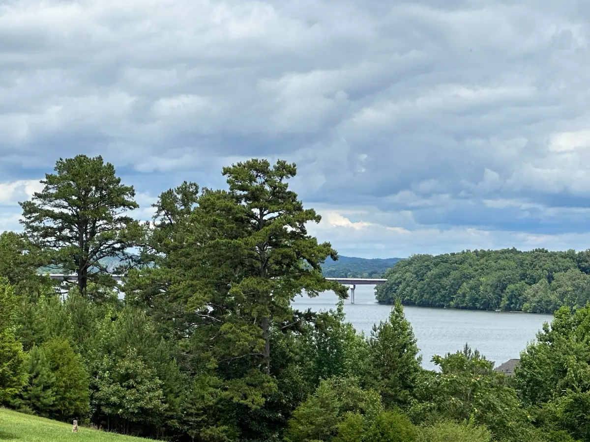 2186 Boat Hook Lane, Sale Creek, TN 37373 - #1