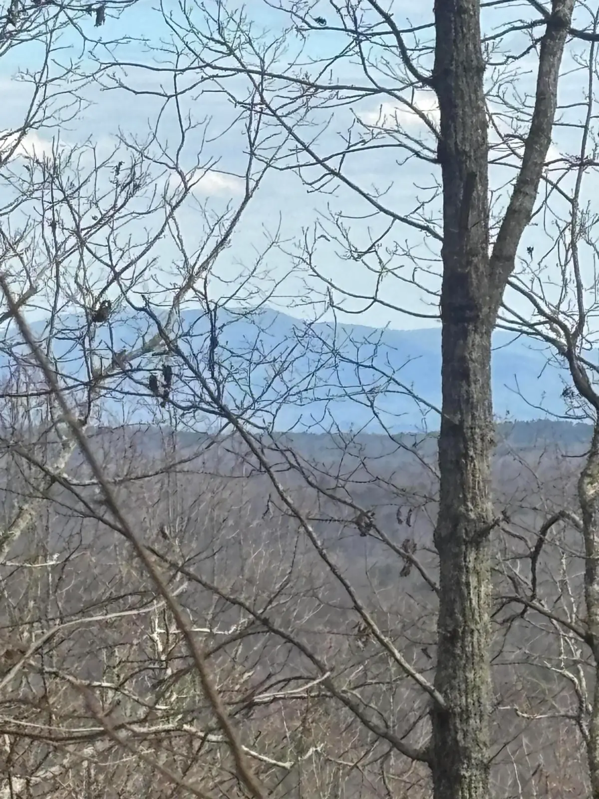 0 Forest Drive #Lot B, Ringgold, GA 30736 - #1