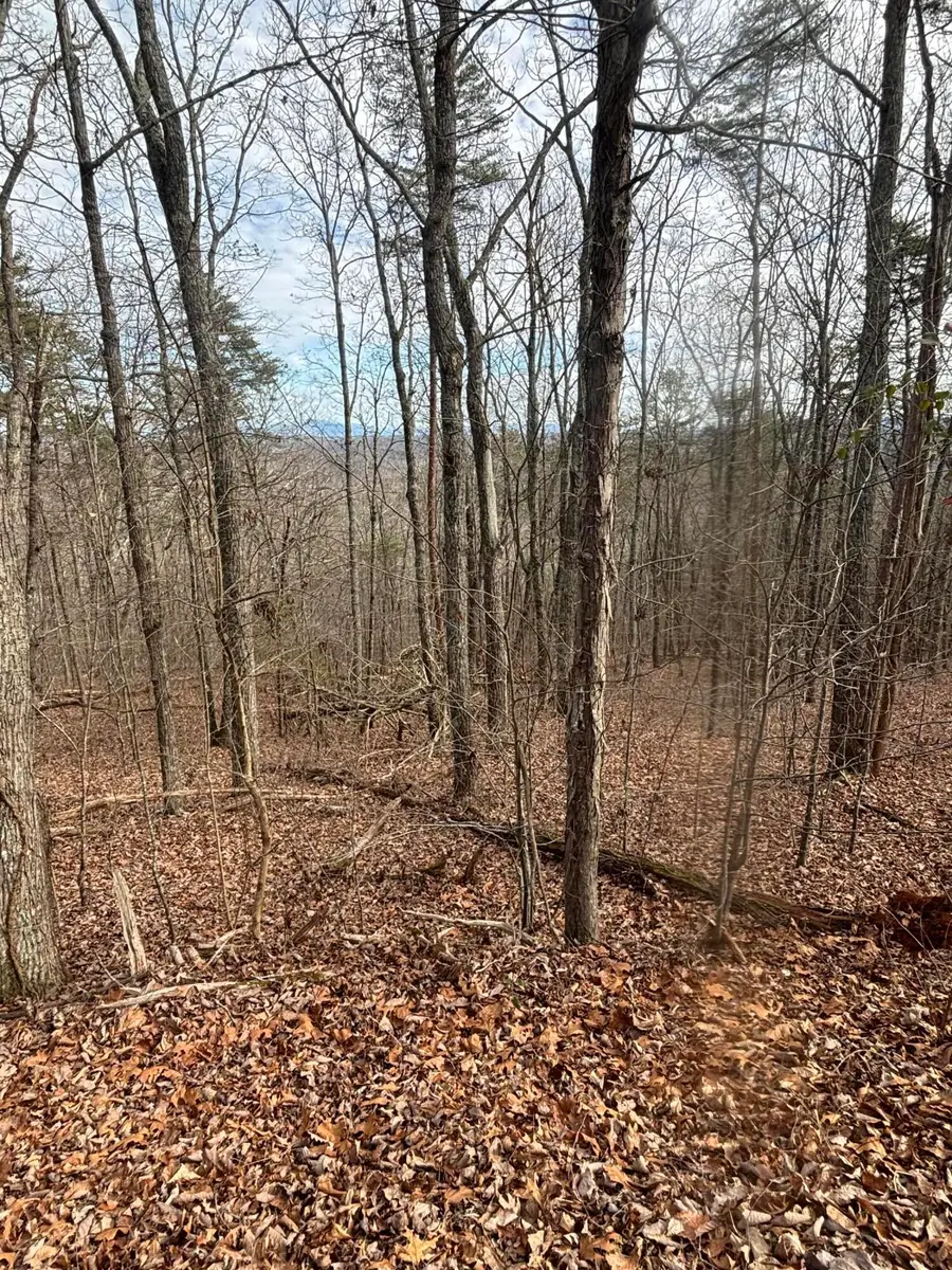 0 Forest Drive #Lot B, Ringgold, GA 30736 - #2