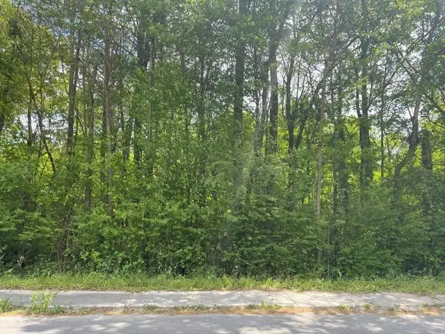 0 Mclemore Street, Lafayette, GA 30728 - #1