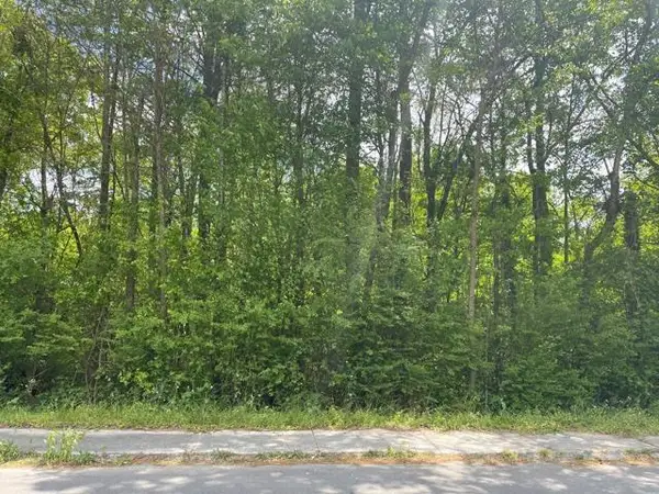 0 Mclemore Street, LaFayette, GA 30728